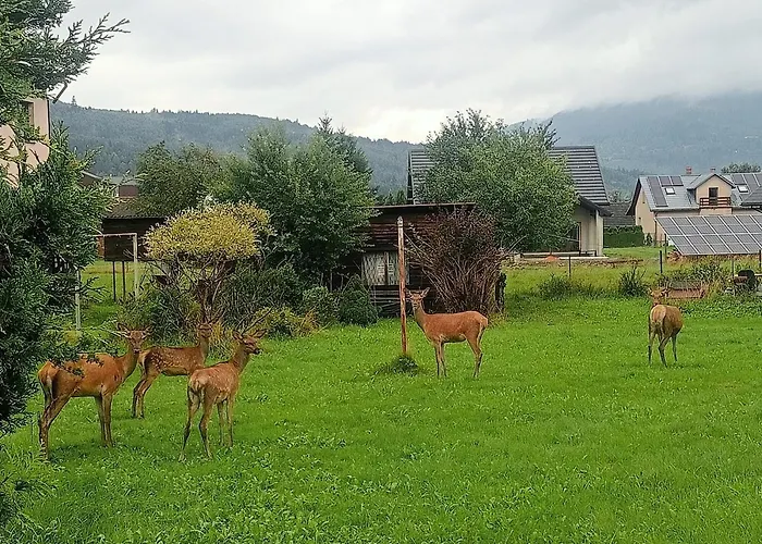 Noclegi Pod Bukami